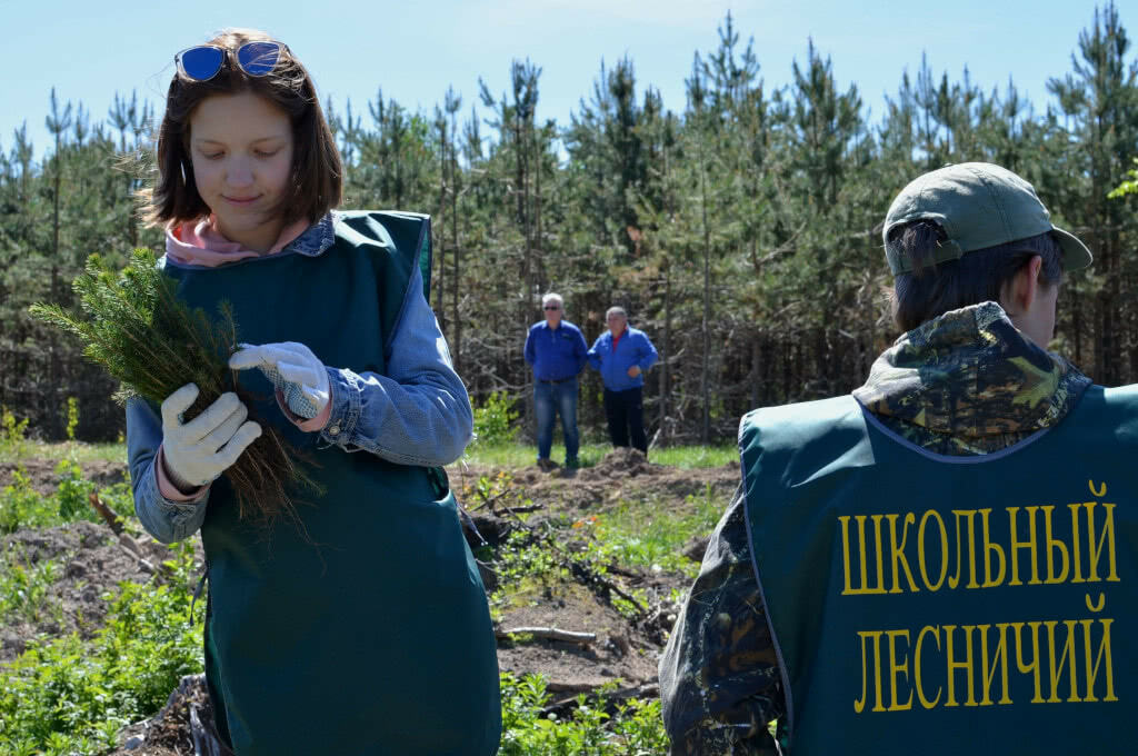 Рослесхоз лес