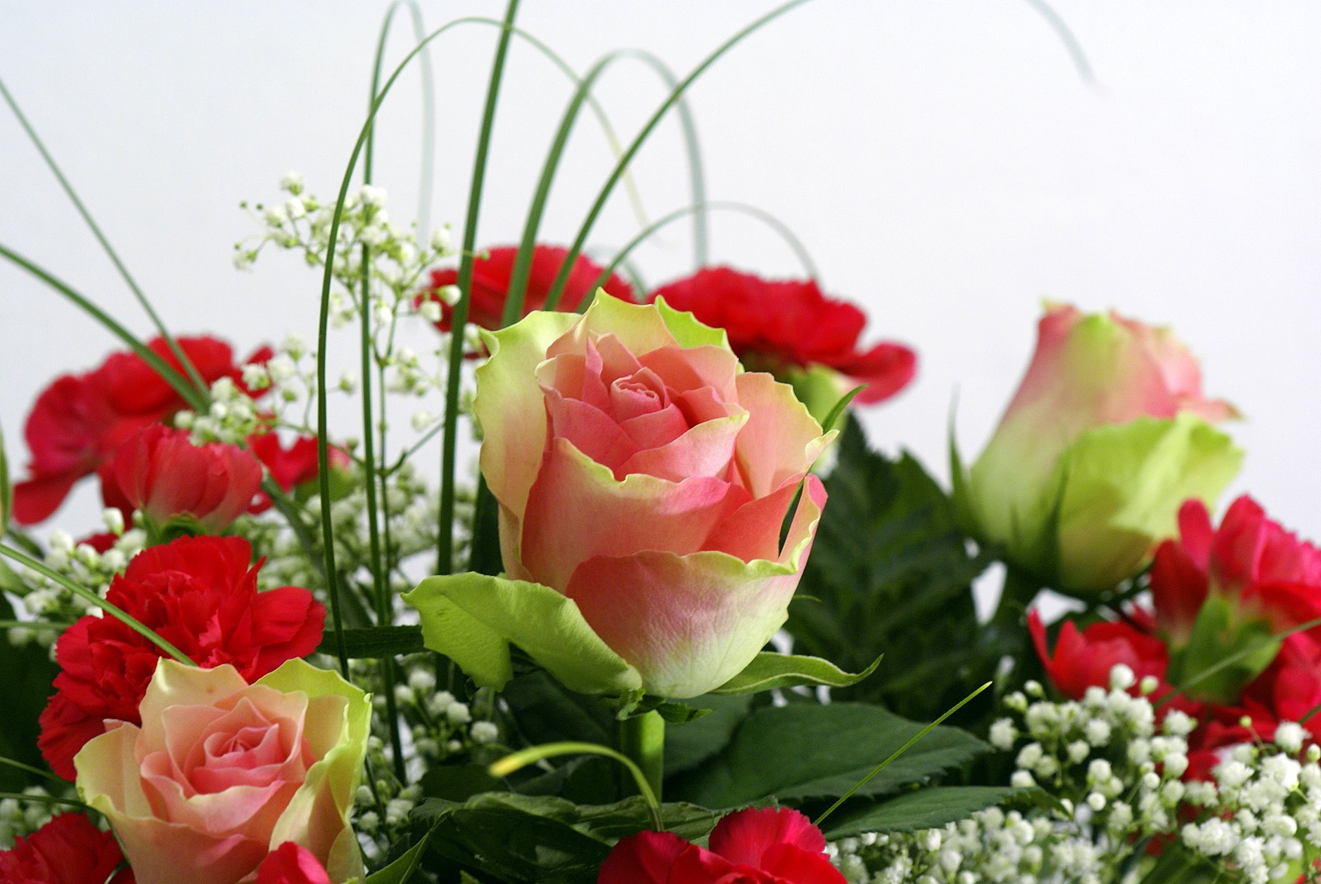 Поздравляю с праздником открытка красивая. Поздравляю! (Цветок). Открытка цветы. С днем рождения цветы. Поздравление цветы для женщины.
