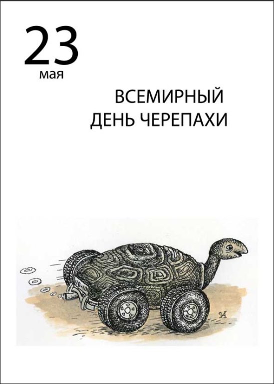 Всемирный день черепахи 23 мая картинки прикольные