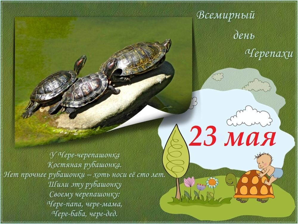 23 мая праздник картинки