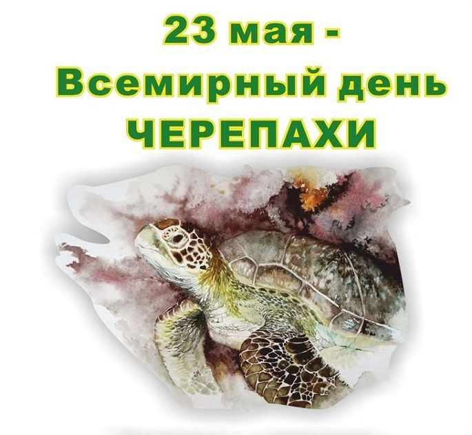 23 мая