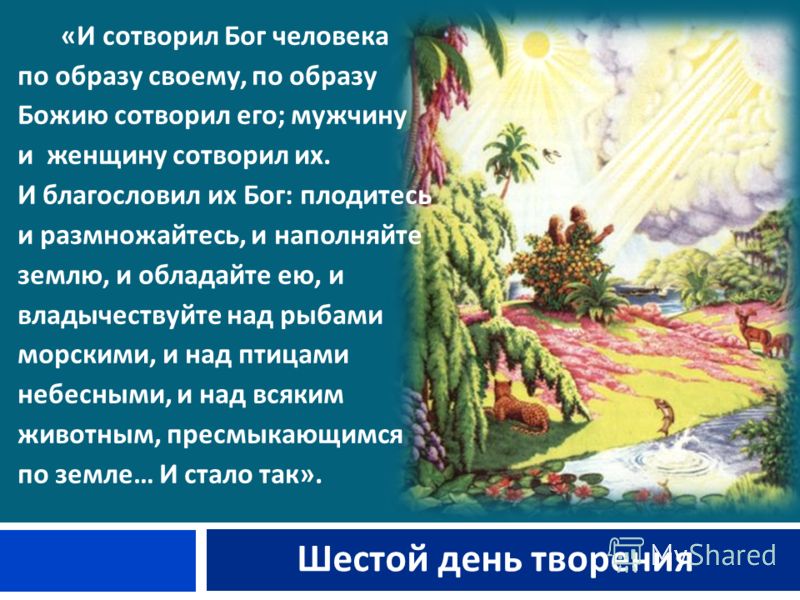 И создал бог по образу. Бог сотворил человека. И сотворил Бог человека по образу своему по образу Божию сотворил его. Шестой день творения. Как Бог сотворил мир.