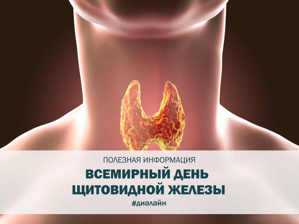 День щитовидной железы. Профилактика заболеваний щитовидной железы. Щитовидная железа буклет. Брошюра по щитовидной железе. Щитовидная железа симптомы.