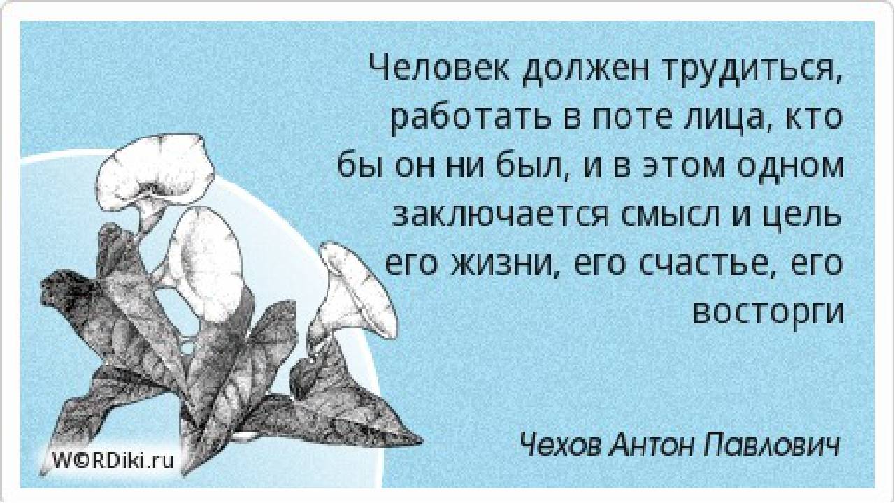 День смелых решений (66 изображений)