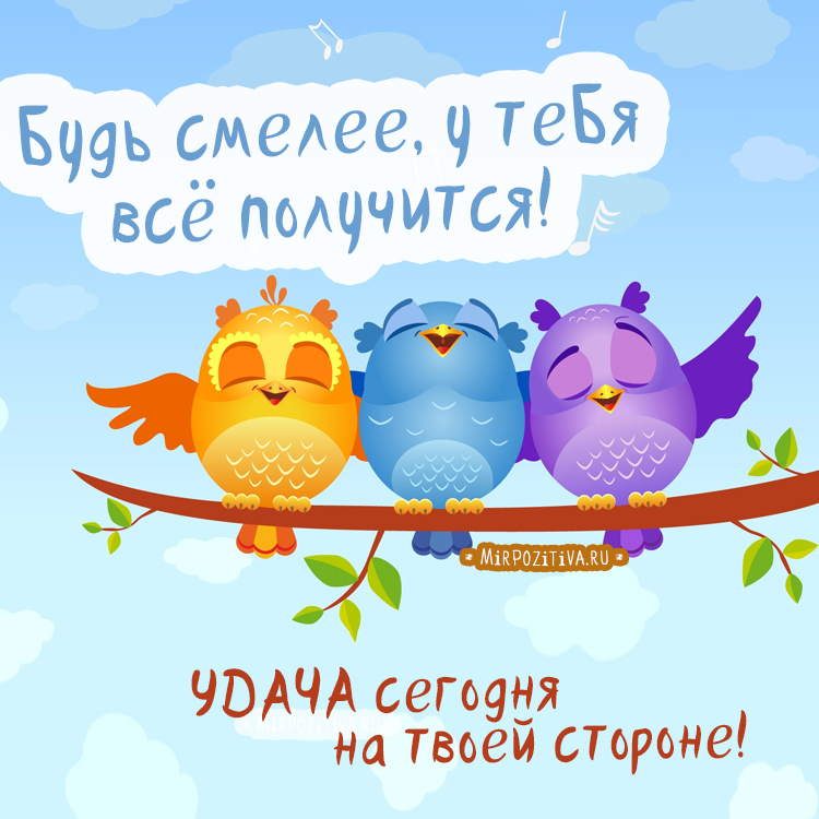 День смелых решений (66 изображений)