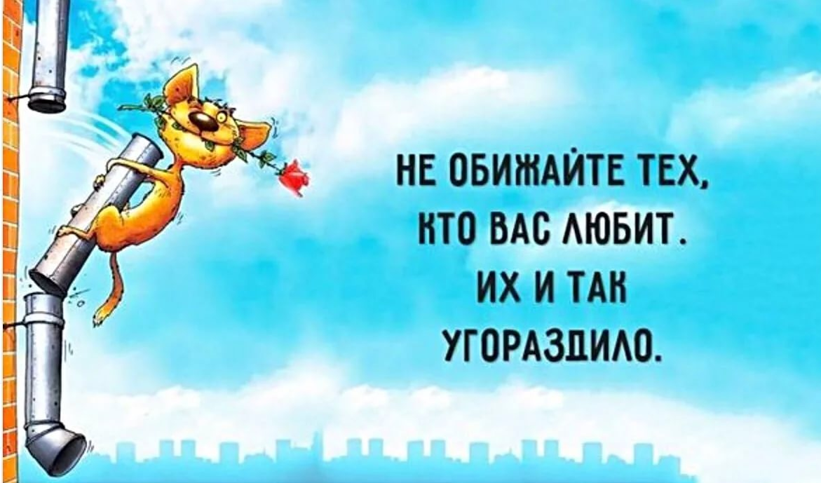 День смелых решений (66 изображений)