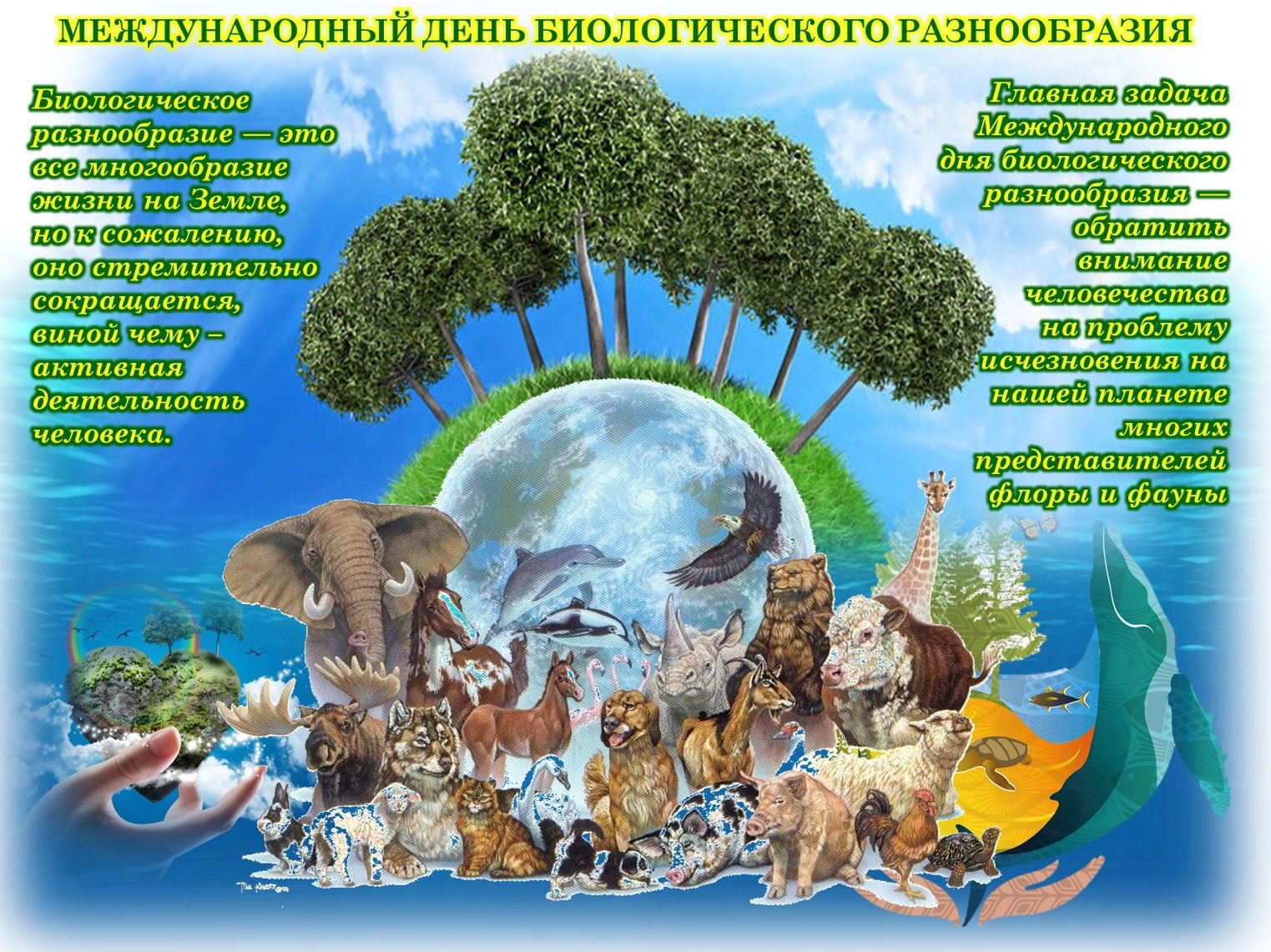 Международный день сохранения биологического разнообразия