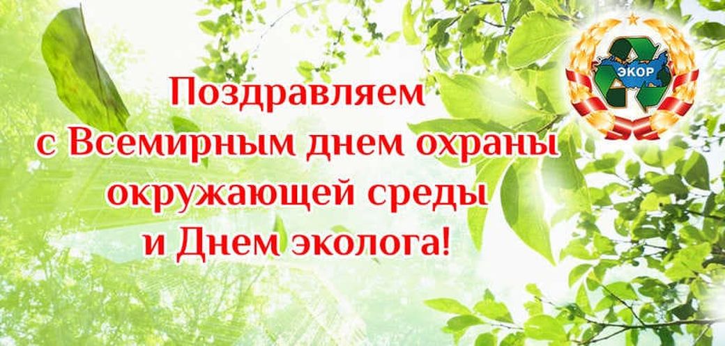 Всемирный день окружающей среды в доу план мероприятий