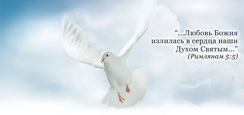 День Святого Духа (89 изображений)