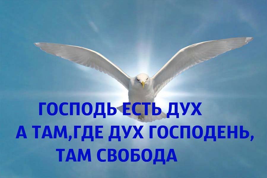 День Святого Духа (89 изображений)