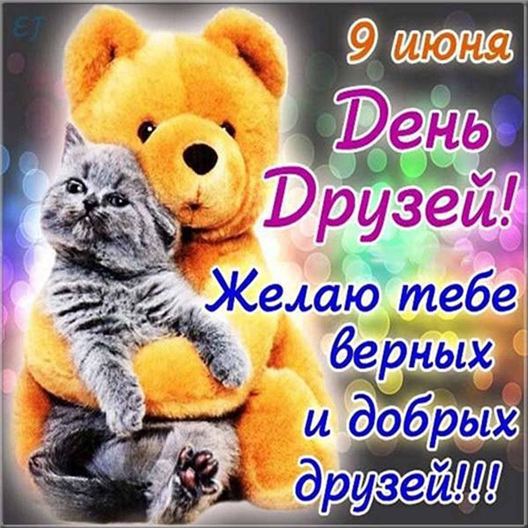 День друзей (102 изображения)