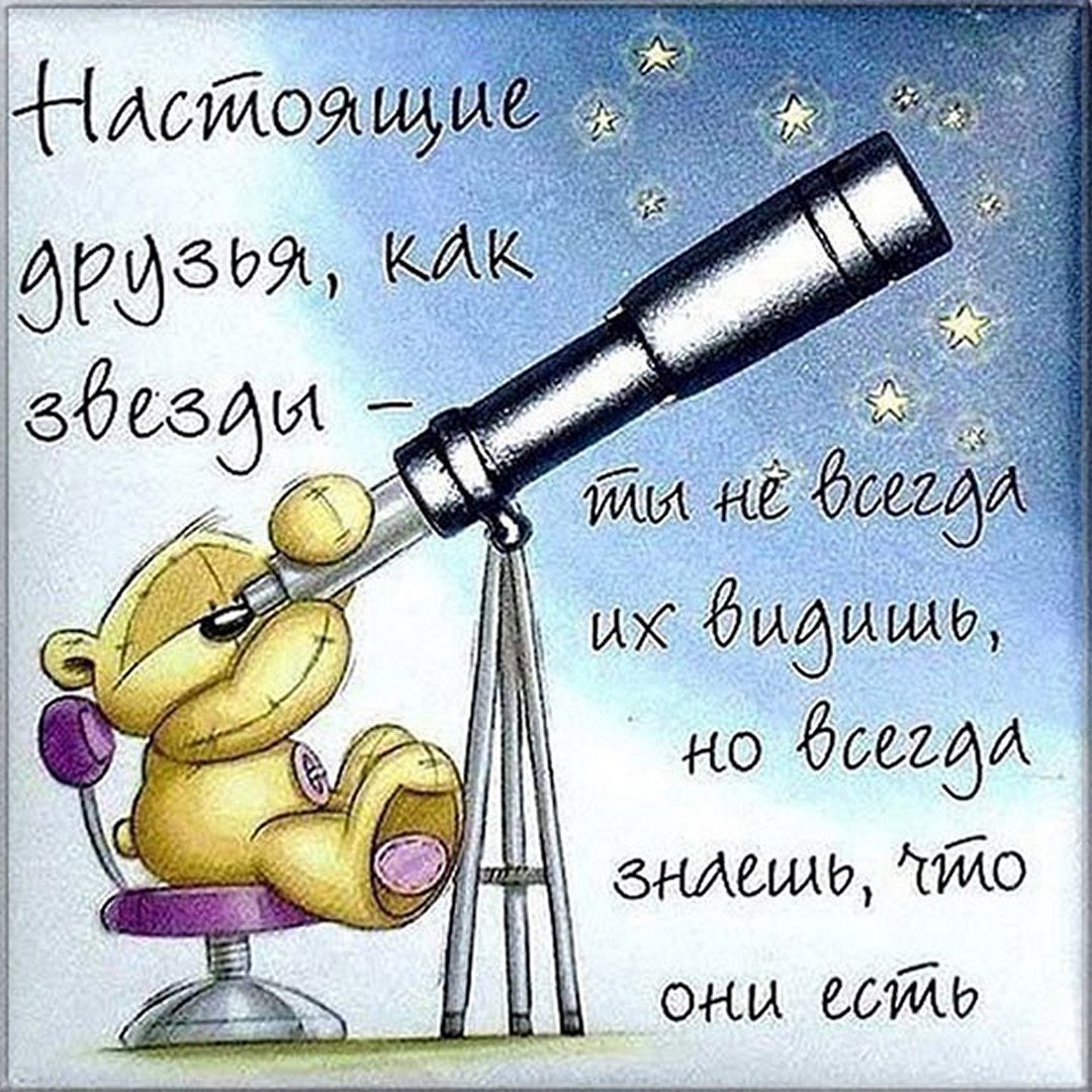 День друзей (102 изображения)