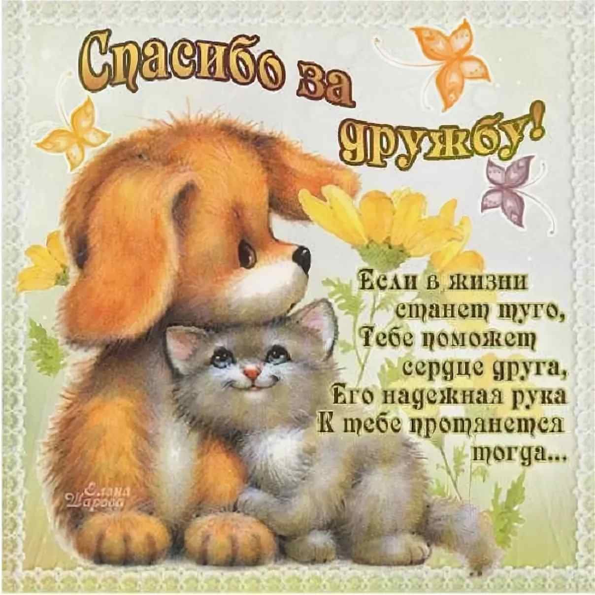 День друзей (102 изображения)