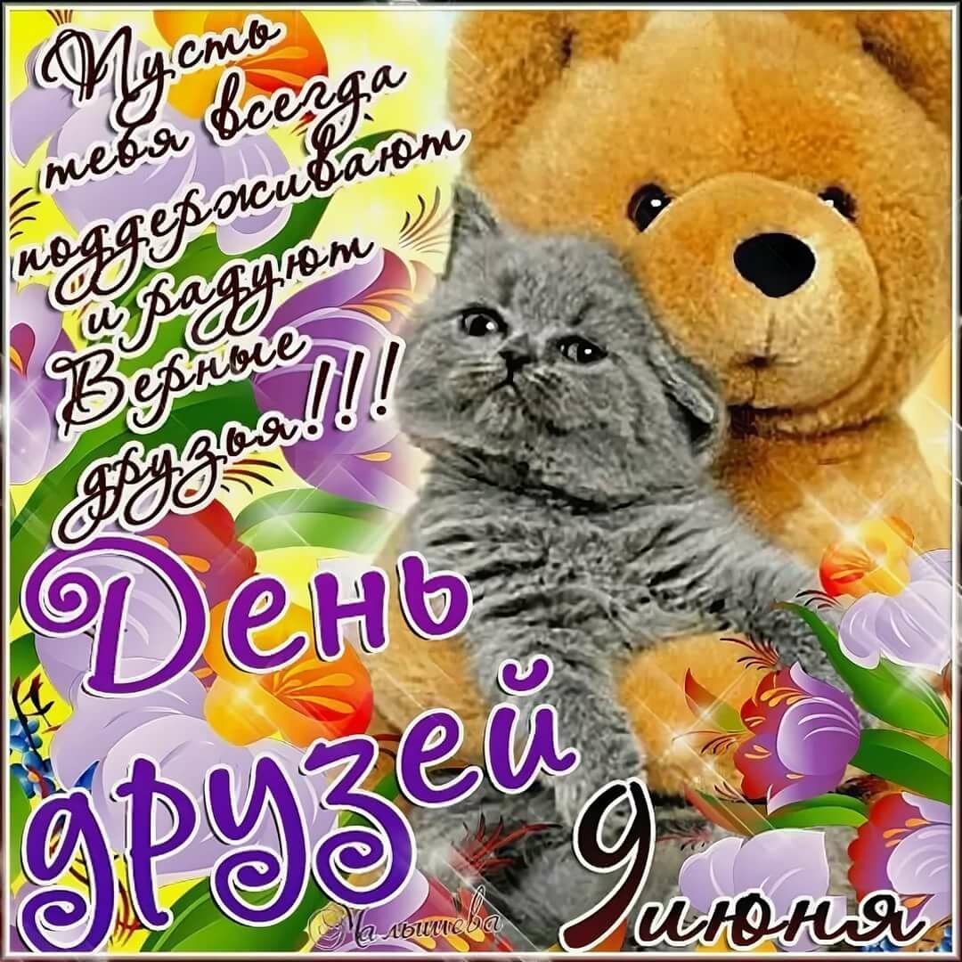 День друзей (102 изображения)