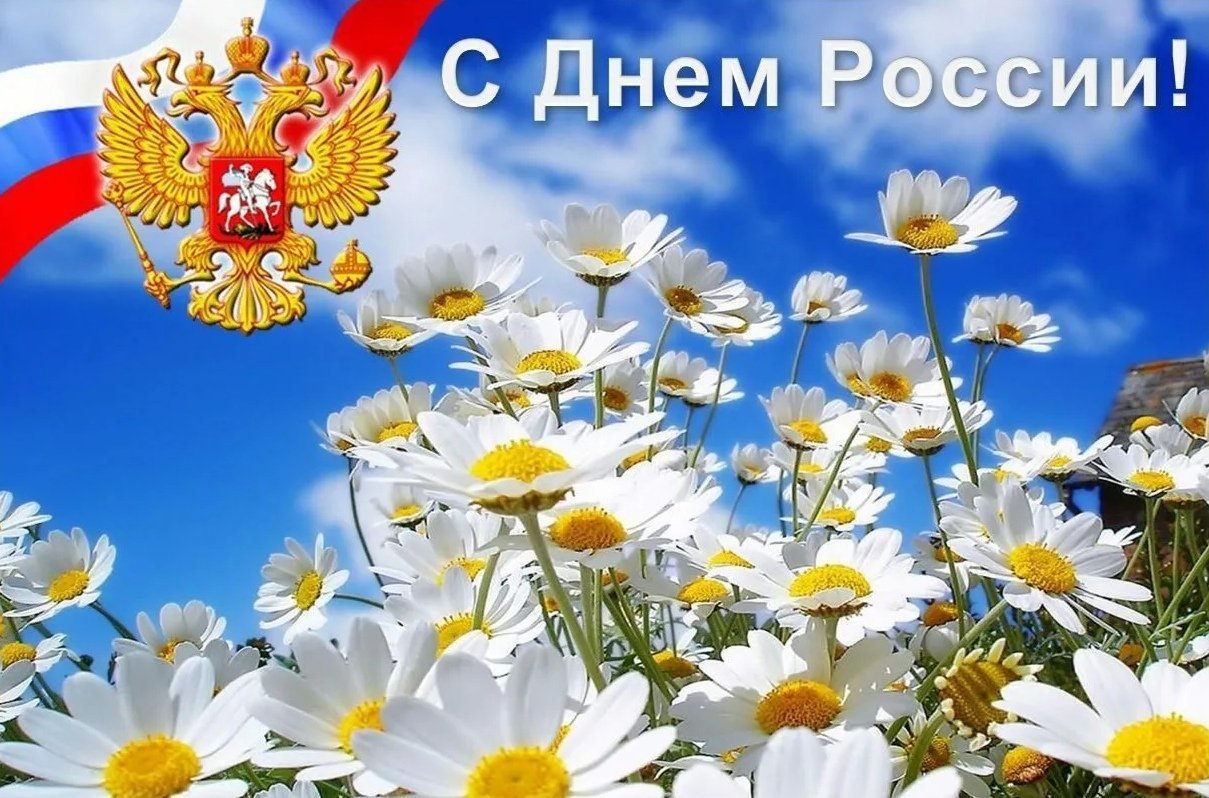 День России (97 изображений)