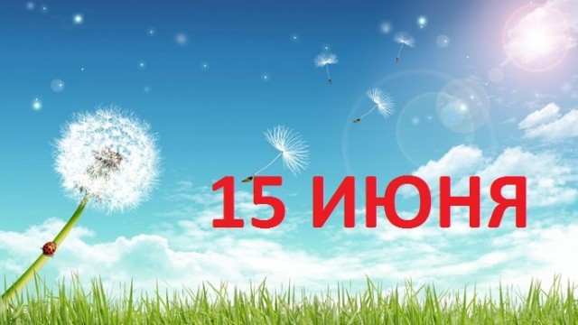 День мужских недостатков 15 июня в картинках