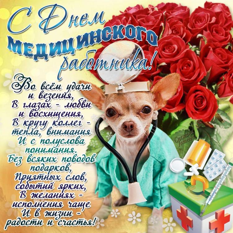 День медицинского работника (101 изображение)