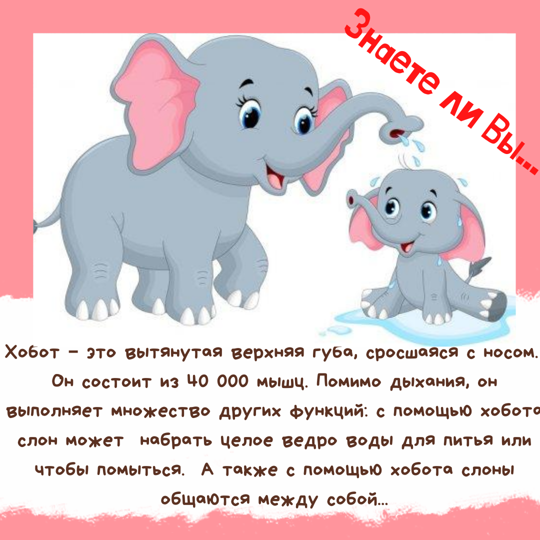 Международный день слонов. Всемирный день слона. Всемирный день слона 12 августа. День слонов 30 ноября. Слоников краткое