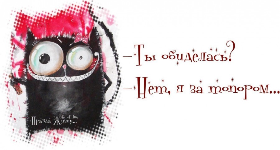 День без обид (94 изображения)