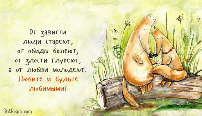 День без обид (94 изображения)