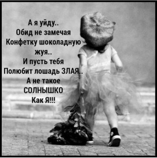 День без обид (94 изображения)