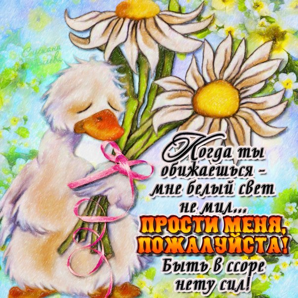 День без обид (94 изображения)