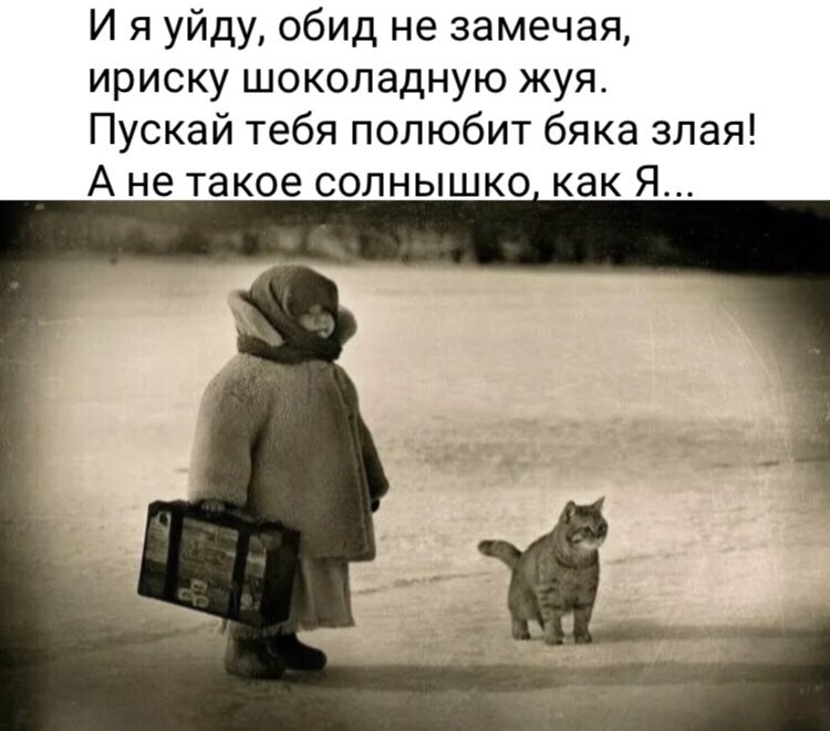 День без обид (94 изображения)
