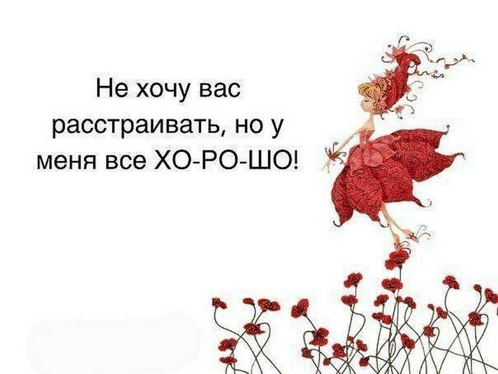 День без обид (94 изображения)