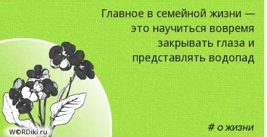 День без обид (94 изображения)