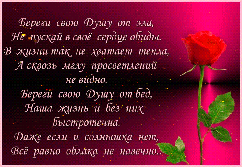 День без обид (94 изображения)