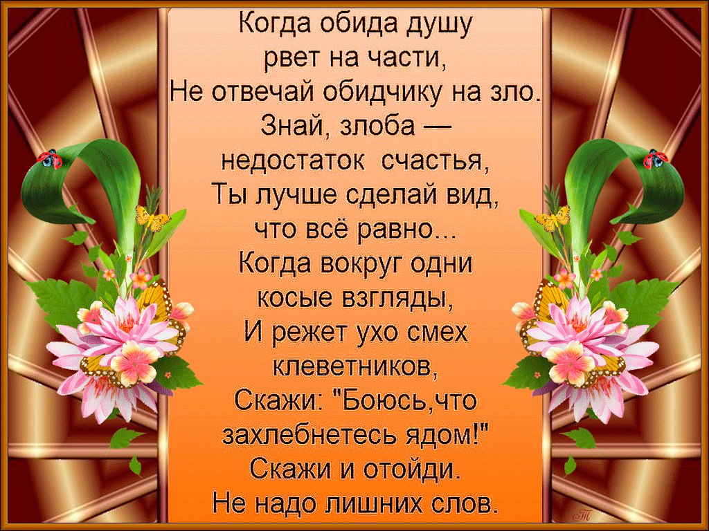 День без обид (94 изображения)