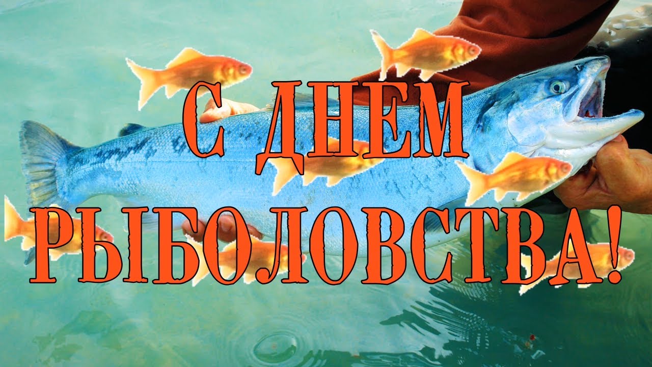 День рыболовства (92 изображения)