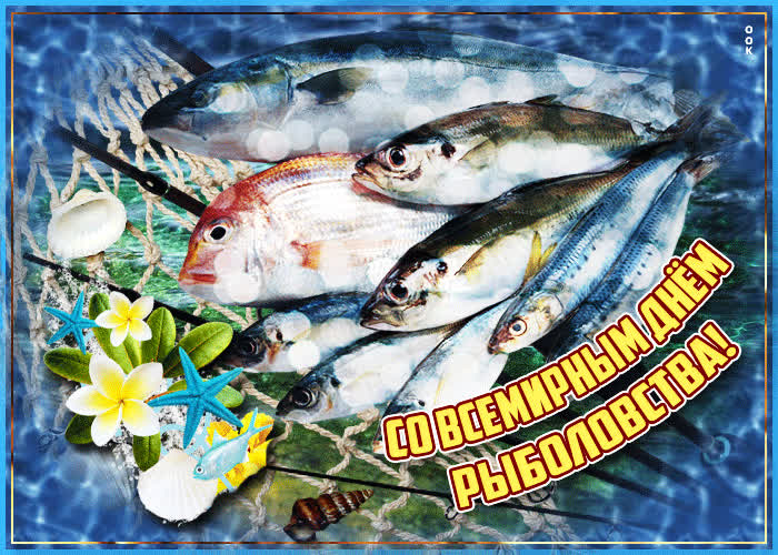 День рыболовства (92 изображения)