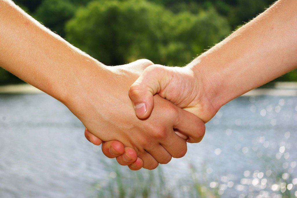 День рукопожатий (86 изображений)