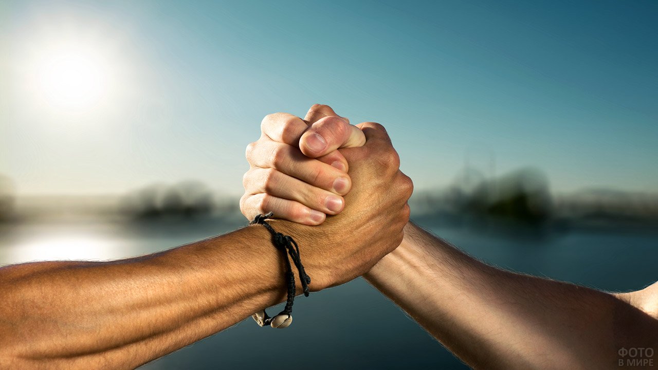 День рукопожатий (86 изображений)