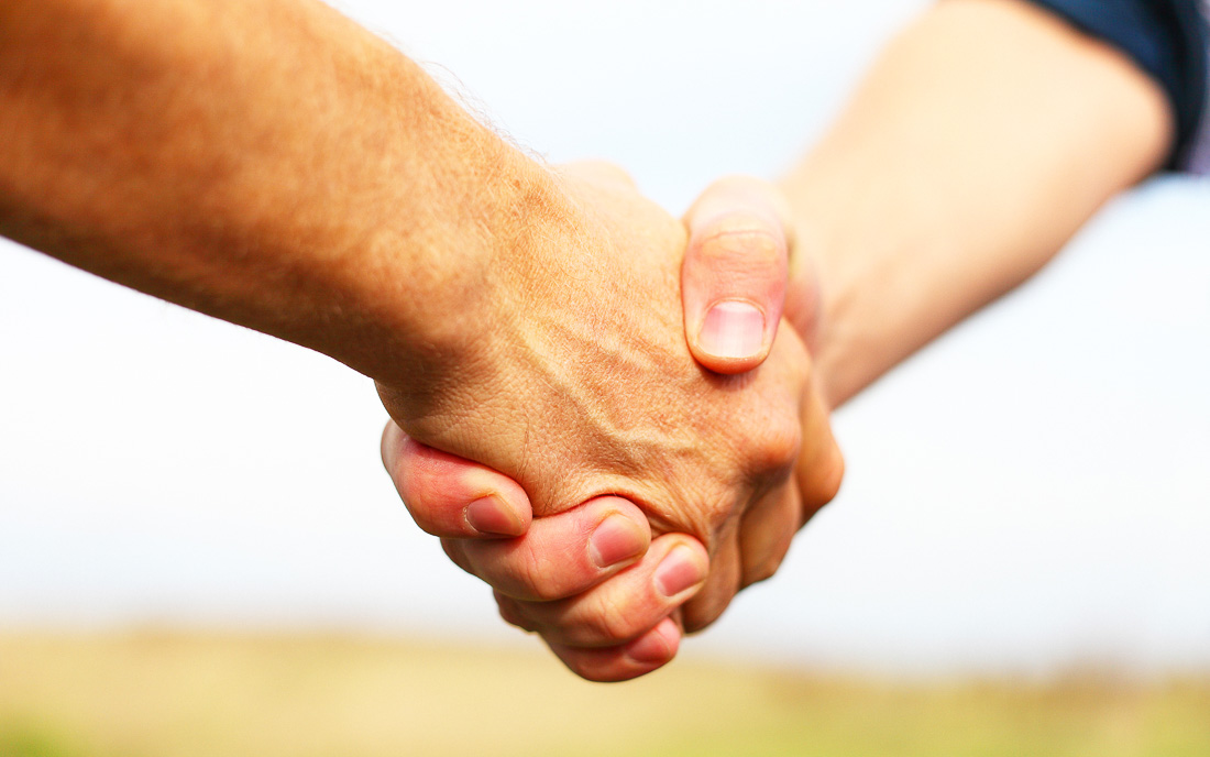 День рукопожатий (86 изображений)