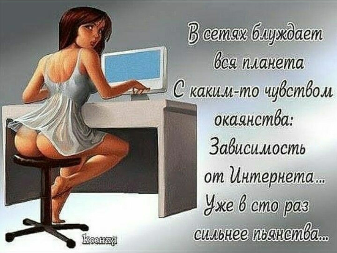 Смешные картинки про сайты