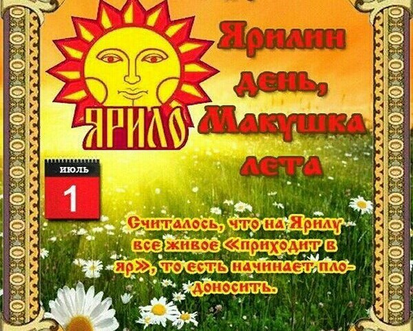 Макушка лета (83 изображения)