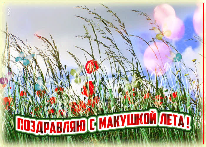Макушка лета (83 изображения)