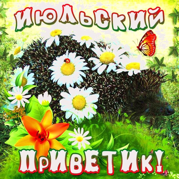 Макушка лета (83 изображения)