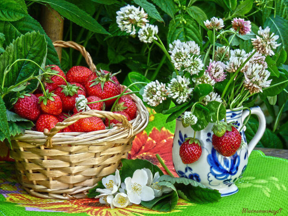Макушка лета (83 изображения)