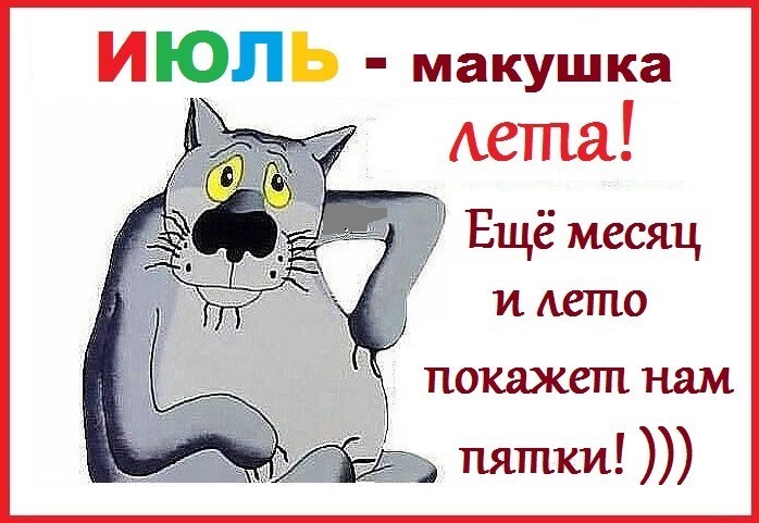 Макушка лета (83 изображения)