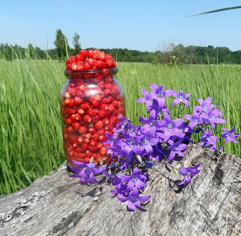 Привет июль картинки