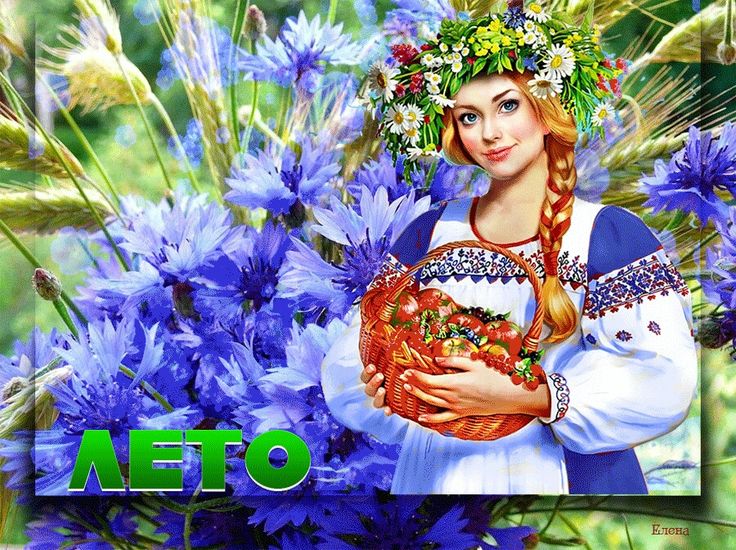Макушка лета (83 изображения)