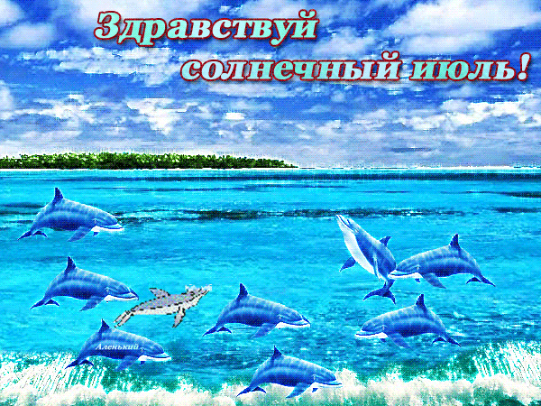 Макушка лета (83 изображения)