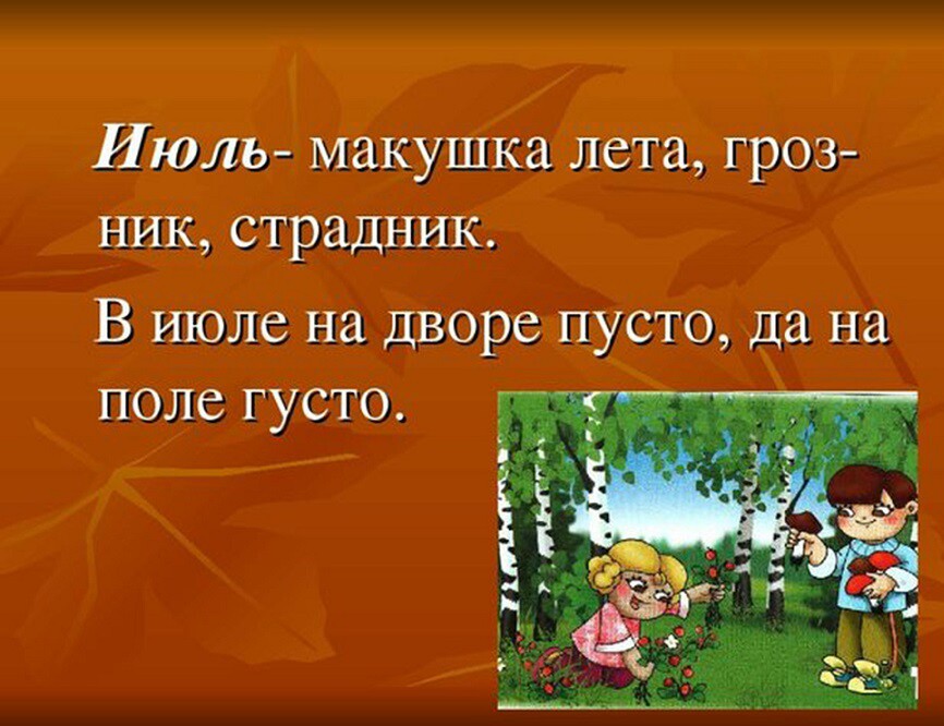 Макушка лета (83 изображения)