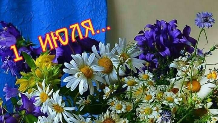 Макушка лета (83 изображения)