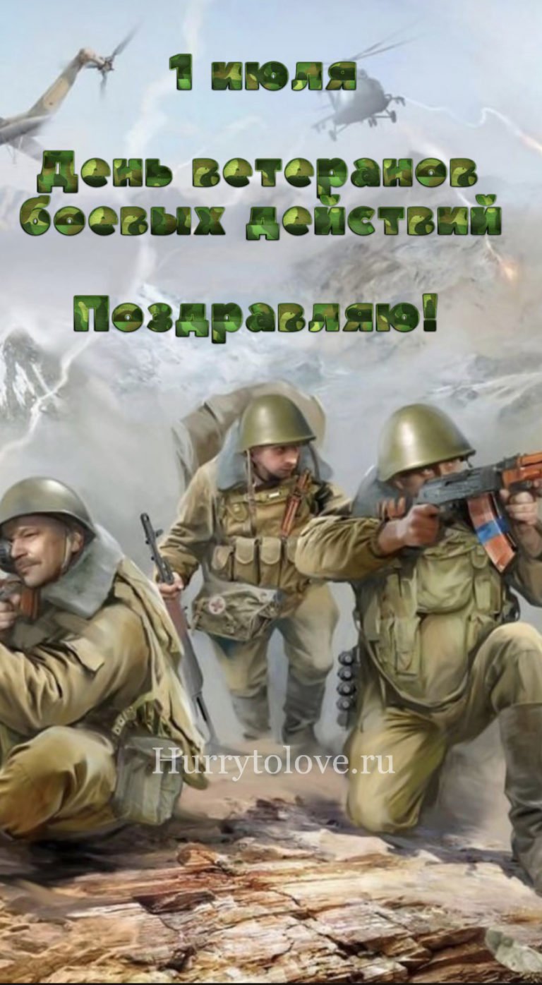 День ветеранов боевых действий (76 изображений)