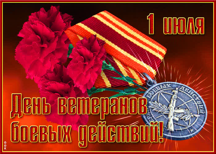 День ветеранов боевых действий (76 изображений)