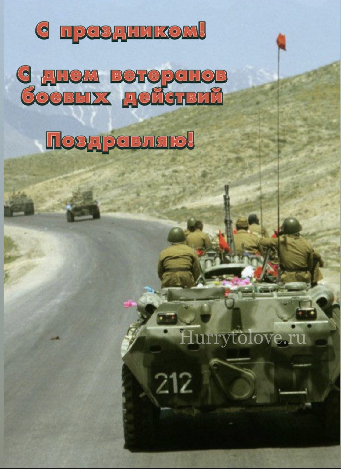 День ветеранов боевых действий (76 изображений)